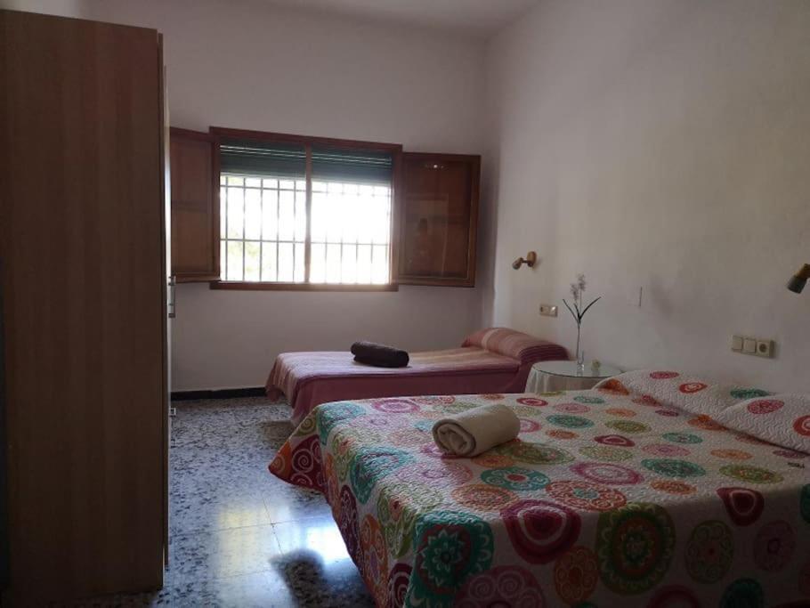 Casa Rural La Colina Calasparra Extérieur photo